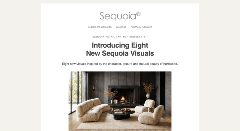 Marketing & Newsletters